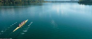 健康生活方式推广平台